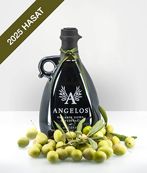 2025 Hasat! Organik Ekstra Sızma Zeytinyağı (0.5 Lt.)
